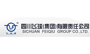 四川飛球(qiú)（集團）有限(xiàn)責任公司(si)