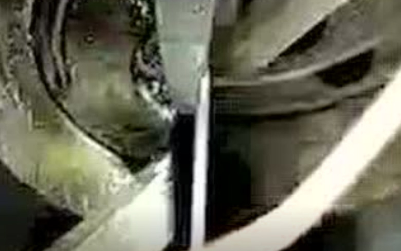 三和(hé)彈簧--不鏽鋼拉簧(huáng)